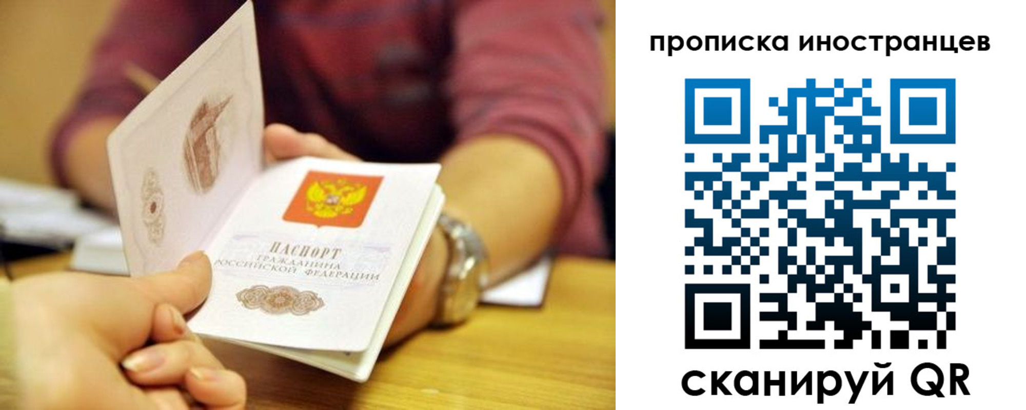 прописка для школы в Курске